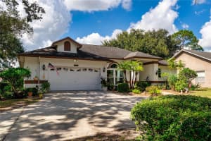 22938 STERLING MANOR LOOP, LUTZ, FL 33549 - MLS#MFRTB8441032