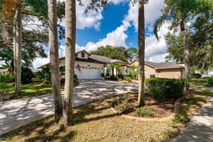 22938 STERLING MANOR LOOP, LUTZ, FL 33549 - MLS#MFRTB8441032