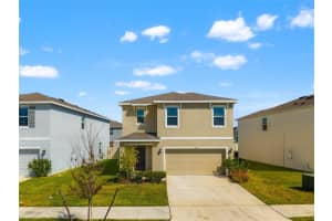 33491 Elm Hill Br, WESLEY CHAPEL