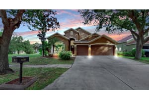 15513 Martinmeadow Dr, LITHIA 15513 Martinmeadow Dr, LITHIA
