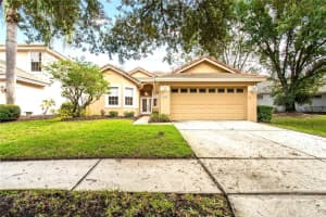 17707 NATHANS DRIVE, TAMPA, FL 33647 - MLS#MFRTB8441110