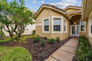 17707 NATHANS DRIVE, TAMPA, FL 33647 - MLS#MFRTB8441110