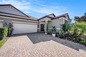 9882 CAMPANULA COURT, LAND O LAKES, FL 34637 - MLS#MFRTB8441133