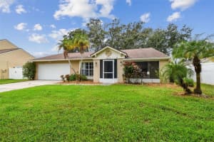 16214 Pebblebrook Dr, TAMPA 16214 Pebblebrook Dr, TAMPA