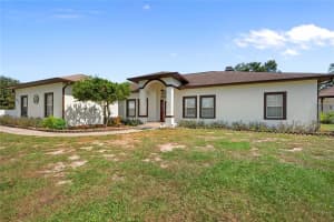 10314 LAMSON ROAD, DADE CITY, FL 33525 - MLS#MFRTB8441139