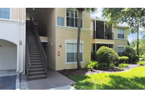 5125 PALM SPRINGS BOULEVARD, TAMPA, FL 33647 - MLS#MFRTB8441181