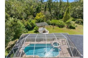 121 MYRTLE RIDGE ROAD, LUTZ, FL 33549 - MLS#MFRTB8441205