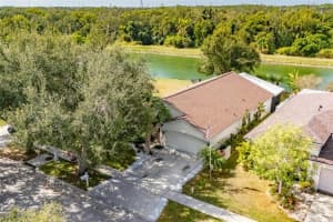 10026 CREEK BLUFF DRIVE, RIVERVIEW, FL 33578 - MLS#MFRTB8441222