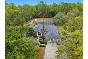 10335 DAUPHINE TERRACE, DUNNELLON, FL 34433 - MLS#MFRTB8441230