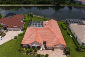 17923 Arbor Haven Dr, TAMPA 17923 Arbor Haven Dr, TAMPA
