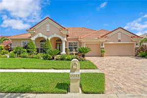 17923 ARBOR HAVEN DRIVE, TAMPA, FL 33647 - MLS#MFRTB8441327