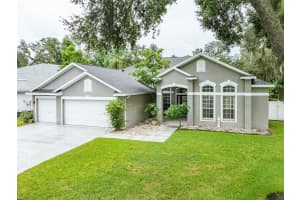 4106 Imperial Eagle Dr, VALRICO 4106 Imperial Eagle Dr, VALRICO