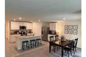 36308 SPANISH ROSE DRIVE, DADE CITY, FL 33525 - MLS#MFRTB8441374