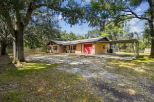 7135 DORMANY LOOP, PLANT CITY, FL 33565 Sold 12/19/25