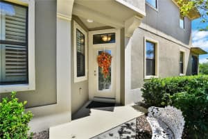 8206 LAPIN COURT, SEMINOLE, FL 33777 - MLS#MFRTB8441406