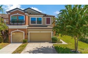 11617 CROWNED SPARROW LANE, TAMPA, FL 33626 - MLS#MFRTB8441412