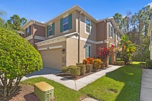 12525 SHIREBROOK COURT, TAMPA, FL 33626 - MLS#MFRTB8441413