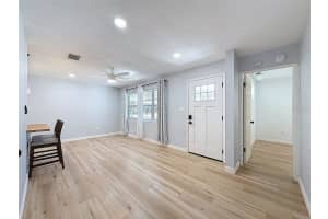 217 EVELYN AVENUE, CLEARWATER, FL 33765 - MLS#MFRTB8441427