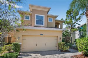 7710 TUSCANY WOODS DRIVE, TAMPA, FL 33647 - MLS#MFRTB8441472