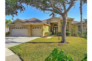 4805 TEA ROSE COURT, LUTZ, FL 33558 - MLS#MFRTB8441486