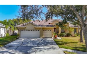 4805 TEA ROSE COURT, LUTZ, FL 33558 - MLS#MFRTB8441486