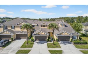 20206 WATER HICKORY PLACE, TAMPA, FL 33647 - MLS#MFRTB8441511