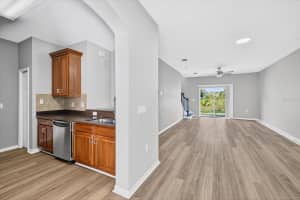 20206 WATER HICKORY PLACE, TAMPA, FL 33647 - MLS#MFRTB8441511