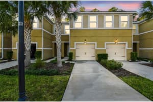 17856 Althea Blue Pl, LUTZ