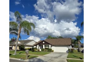 14931 REDCLIFF DRIVE, TAMPA, FL 33625 - MLS#MFRTB8441526