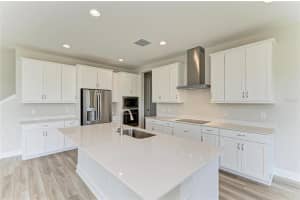 10160 SURREY ROSE DRIVE, SAN ANTONIO, FL 33576 - MLS#MFRTB8441527