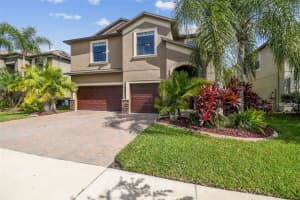11737 CRESTRIDGE LOOP, NEW PORT RICHEY, FL 34655 - MLS#MFRTB8441531