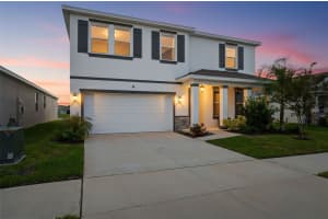 33634 GARDEN SAGE ISLE, WESLEY CHAPEL, FL 33545 - MLS#MFRTB8441532