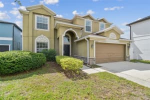 18530 STROMBURY DRIVE, LAND O LAKES, FL 34638 - MLS#MFRTB8441547