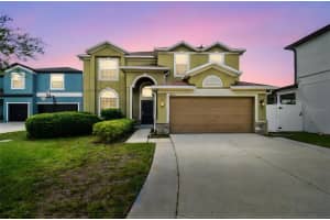 18530 STROMBURY DRIVE, LAND O LAKES, FL 34638 - MLS#MFRTB8441547