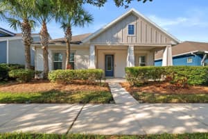 4127 BROAD PORCH RUN, LAND O LAKES, FL 34638 - MLS#MFRTB8441555