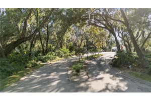 2941 CHELSEA WOODS DRIVE, VALRICO, FL 33596 - MLS#MFRTB8441558