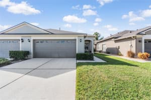 1123 Wright Swynde Ct, WESLEY CHAPEL 1123 Wright Swynde Ct, WESLEY CHAPEL