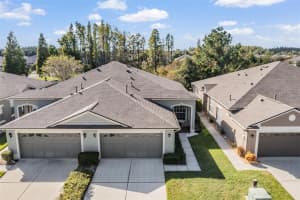 1123 WRIGHT SWYNDE COURT, WESLEY CHAPEL, FL 33543 - MLS#MFRTB8441574