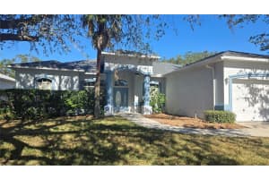 2116 Golf Manor Blvd, VALRICO