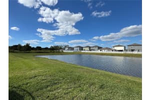 12734 MANGROVE FOREST DRIVE, RIVERVIEW, FL 33579 - MLS#MFRTB8441607