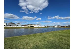 12734 MANGROVE FOREST DRIVE, RIVERVIEW, FL 33579 - MLS#MFRTB8441607