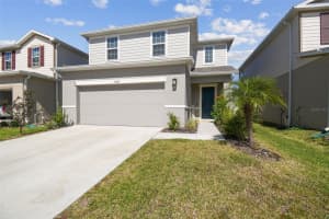 19043 PEBBLE WOOD LANE, SPRING HILL, FL 34610 - MLS#MFRTB8441621
