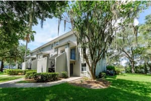 7246 BANK DRIVE, TAMPA, FL 33617 - MLS#MFRTB8441646
