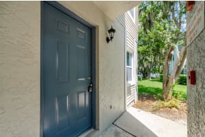 7246 BANK DRIVE, TAMPA, FL 33617 - MLS#MFRTB8441646