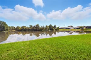 10242 CHATUGE DRIVE, SAN ANTONIO, FL 33576 - MLS#MFRTB8441651