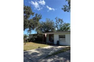 8801 Chinaberry Dr, TAMPA