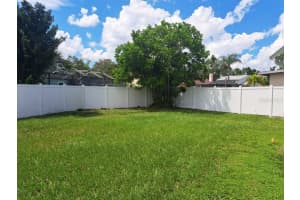 12504 PALMDALE COURT, TAMPA, FL 33625 - MLS#MFRTB8441740