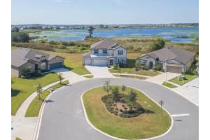 9503 IBIS GROVE BOULEVARD, WESLEY CHAPEL, FL 33545 - MLS#MFRTB8441754