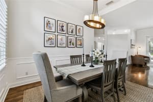 17112 DOWNS DRIVE, ODESSA, FL 33556 - MLS#MFRTB8441799