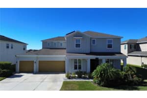 7811 Roma Dune Dr, WESLEY CHAPEL 7811 Roma Dune Dr, WESLEY CHAPEL